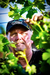 2Hawk Vineyard and Winery Owner Ross Allen in Vineyard with Grapevines
