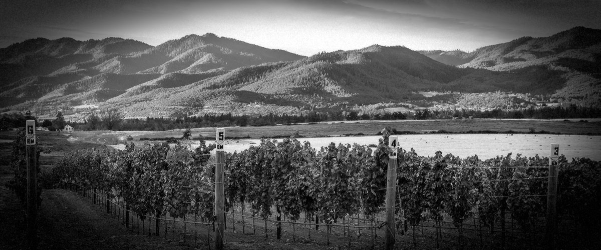 2Hawk Vineyard and Winery Vineyards and Mountain Scenery (Grayscale)