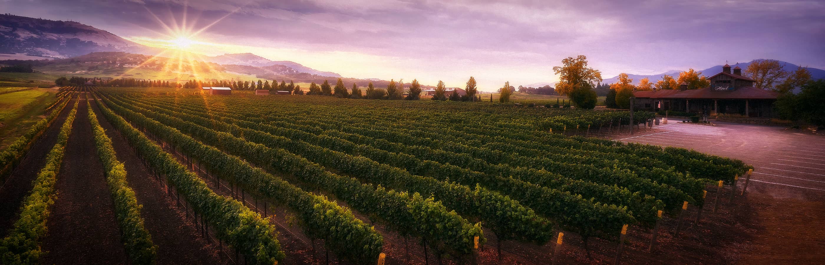 2Hawk Vineyard and Winery Building and Vineyard at Sunset