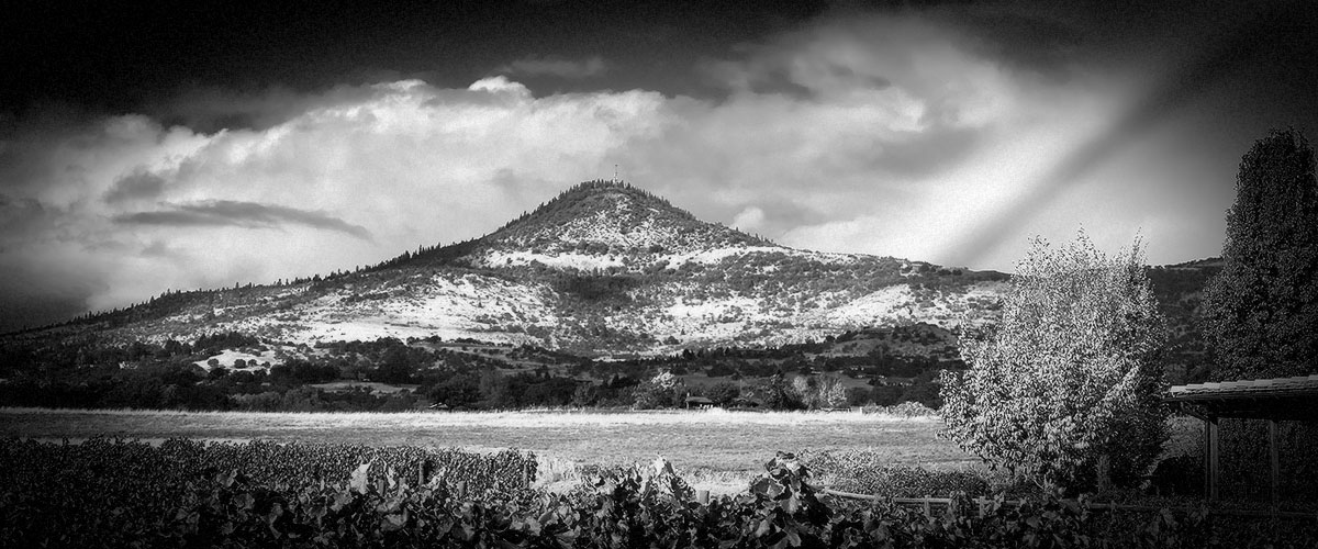 Rainbow over 2Hawk Vineyard and Winery (Grayscale)