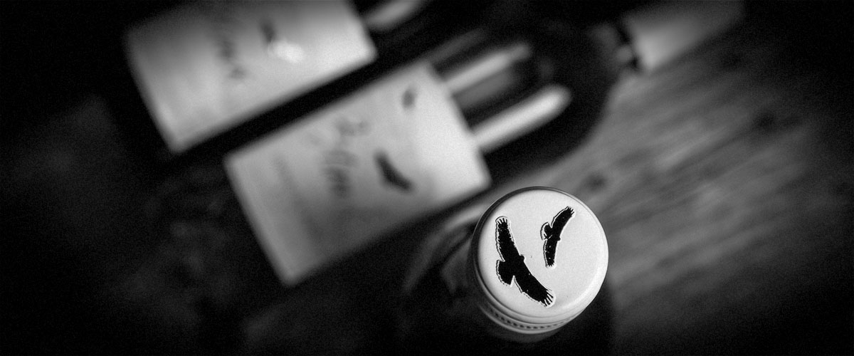 2Hawk Vineyard and Winery Wine Bottle Top with 2 Blurred Bottles (Grayscale)