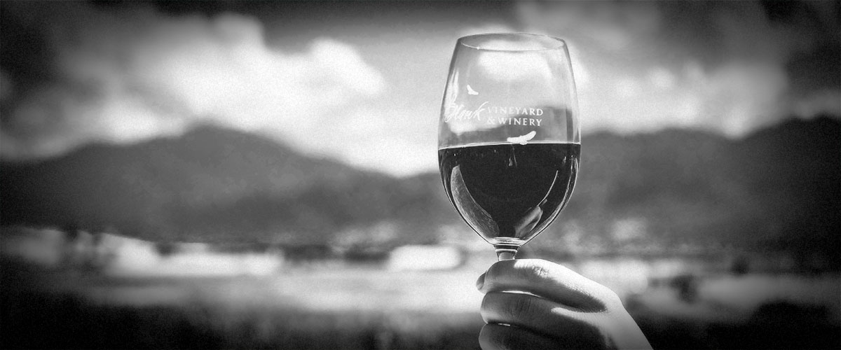 Holding 2Hawk Vineyard and Winery Wine Glass up Against Blue Sky (Grayscale)